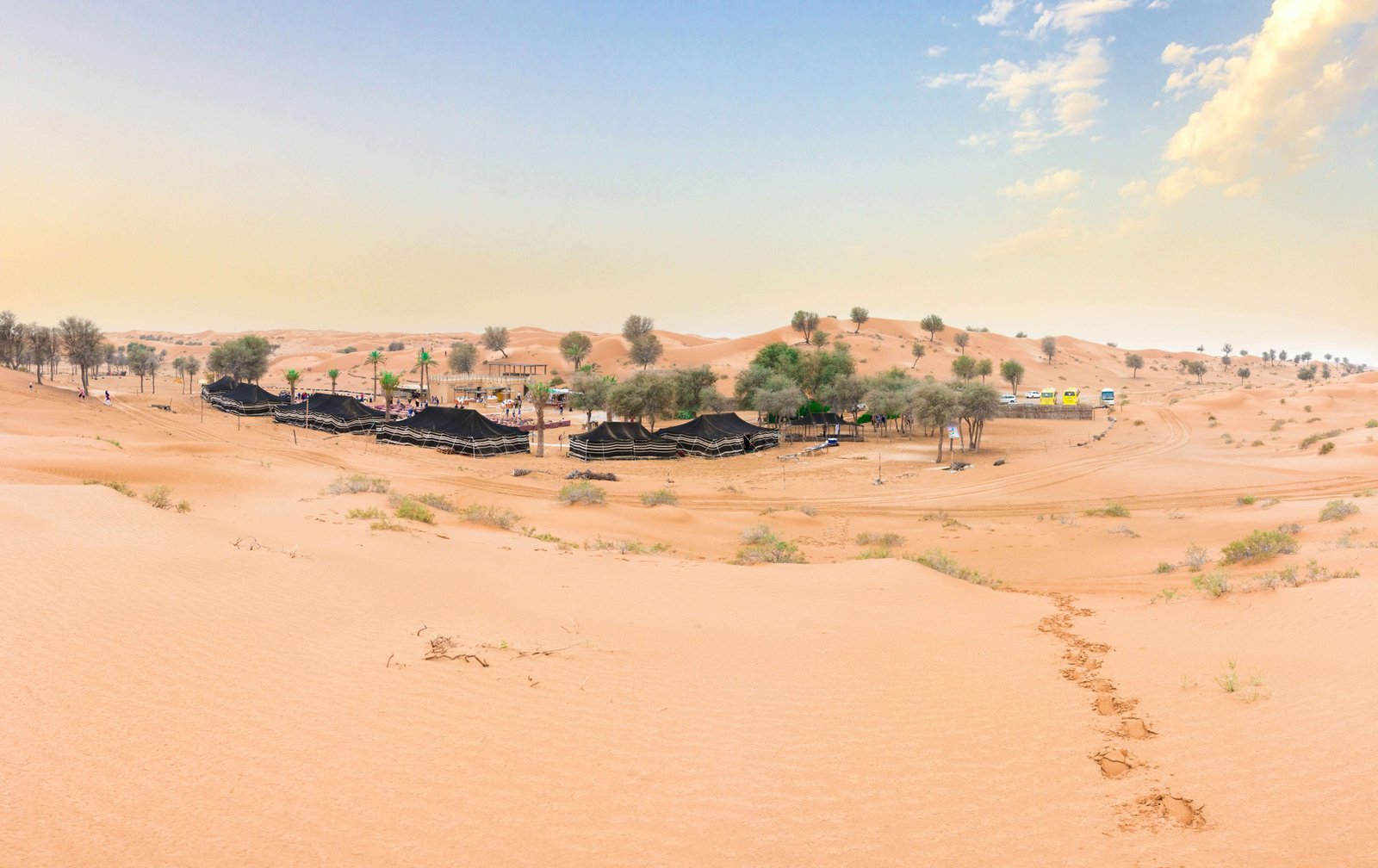 Top 5 Unforgettable Trips to Sahara Desert You Need to Experience